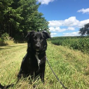 Meet your Posher, Kelsey